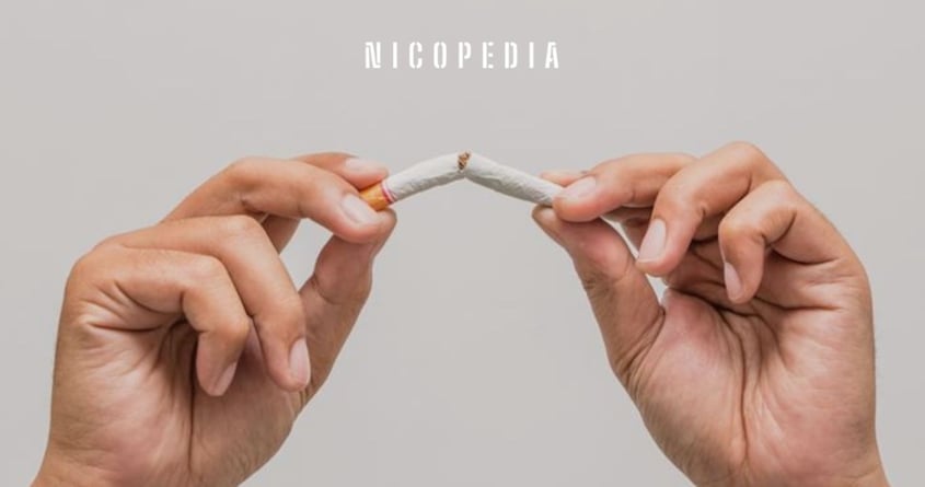 Skademinimering på EU:s dagordning