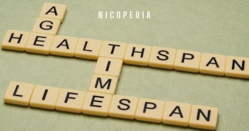 Snus kan spara hundratals miljarder i europeiska välfärdsvinster, enligt ny longevity-studie