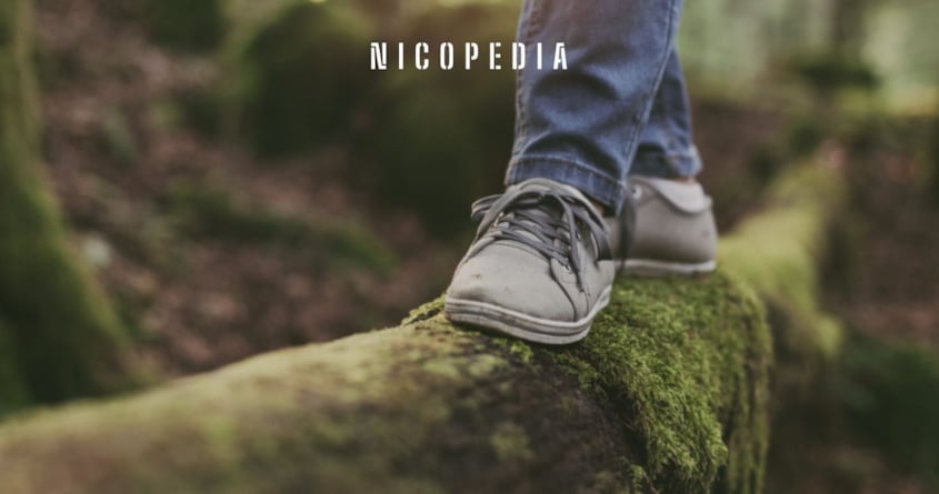 Stora regionala skillnader i Sverige: Välfärdsnyttan av ett extra friskt levnadsår