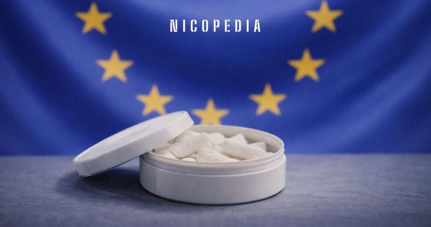Vitt snus dosa på ett bord och EU flagga i bakgrunden