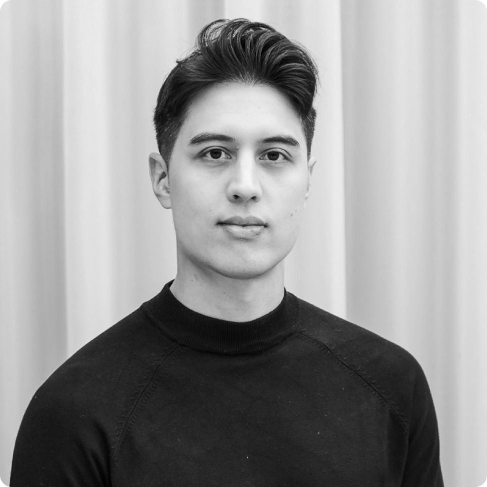 Anders Nguyen, Haypp Group