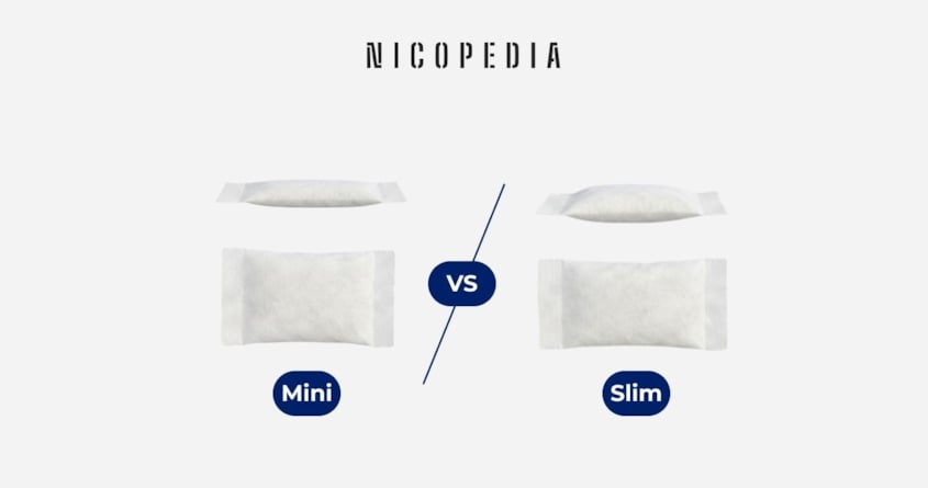 Mini eller Slim? Så väljer du rätt nikotinpåse på Haypp