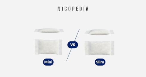 Mini eller Slim? Så väljer du rätt nikotinpåse på Haypp