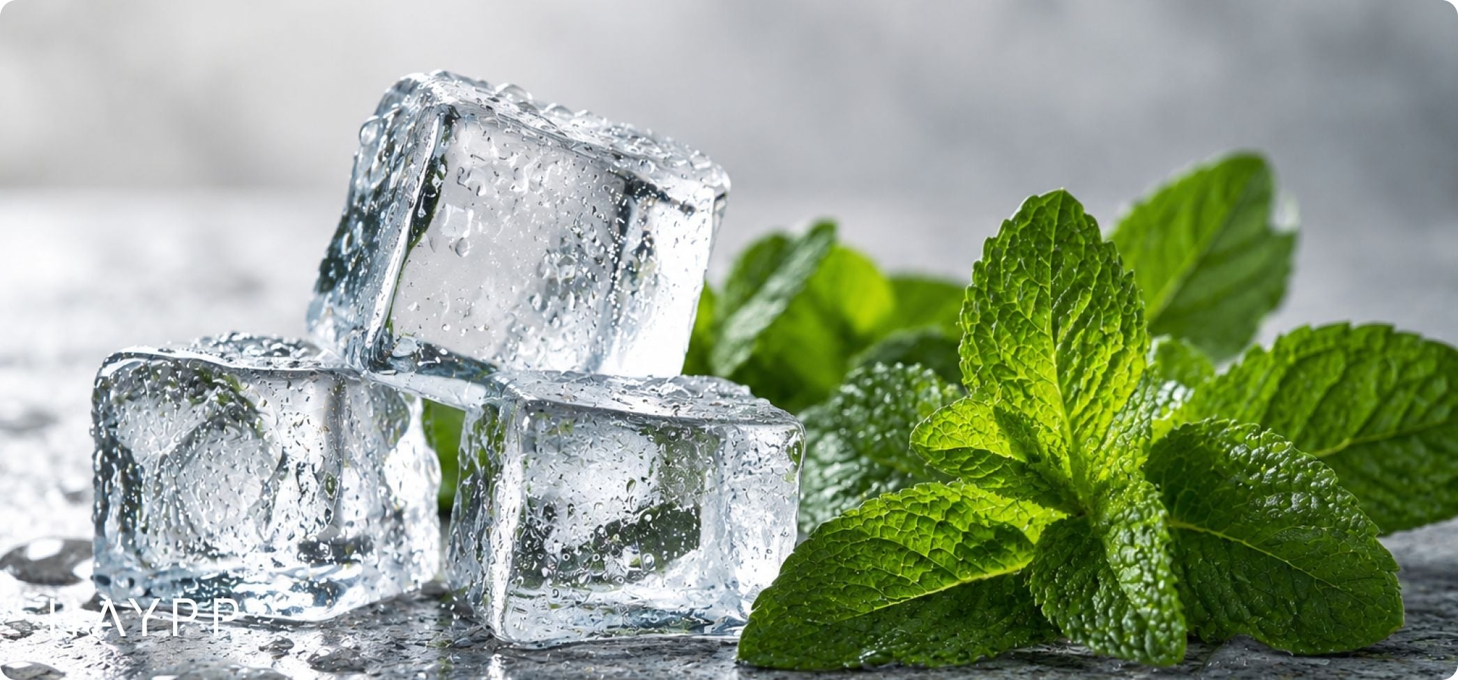 Ice vs mint i vapes