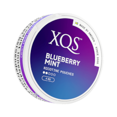 XQS Blueberry Mint Normal
