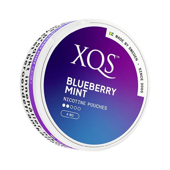 XQS Blueberry Mint Normal