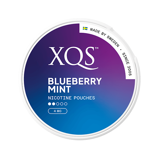 XQS Blueberry Mint Normal