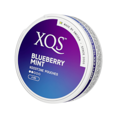XQS Blueberry Mint Normal