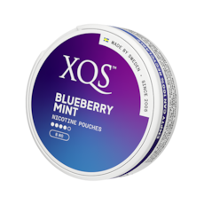 XQS Blueberry Mint Extra Strong