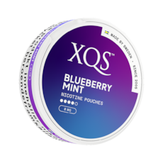 XQS Blueberry Mint Extra Strong