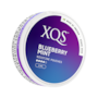 XQS Blueberry Mint Extra Strong