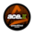 Ace X Guarana Chili Boost Slim Strong