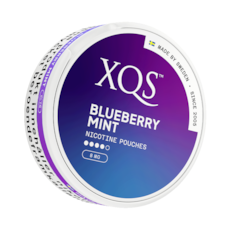 XQS Blueberry Mint Extra Strong