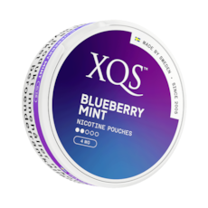 XQS Blueberry Mint Normal