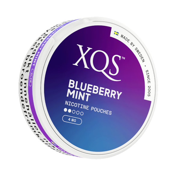 XQS Blueberry Mint Normal