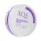 XQS Blueberry Mint Nikotinfritt Snus