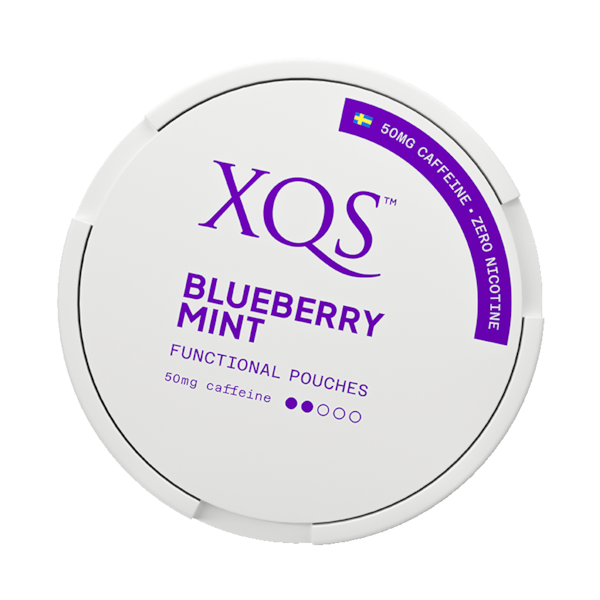 XQS XQS Blueberry Mint Nikotinfritt Snus Mint