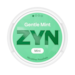 ZYN Gentle Mint Mini S1