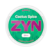 ZYN Cactus Spice Slim S3