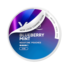 XQS Blueberry Mint Extra Strong