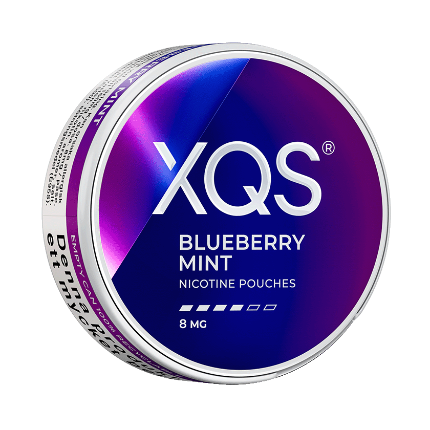 XQS Blueberry Mint 8mg