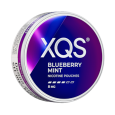 XQS Blueberry Mint Extra Strong