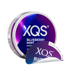 XQS Blueberry Mint Normal