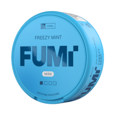 FUMi Freezy Mint Mini Regular