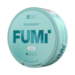 FUMi Spearmint Mini Regular