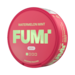FUMi Watermelon Mint Mini Regular
