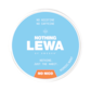 LEWA Nothing Nordic Mint Nikotinfritt Snus